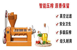 茶油榨油機(jī)多少錢一臺？