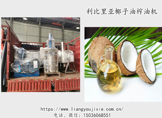 國(guó)瑞椰子油榨油機(jī)發(fā)往利比里亞客戶工廠