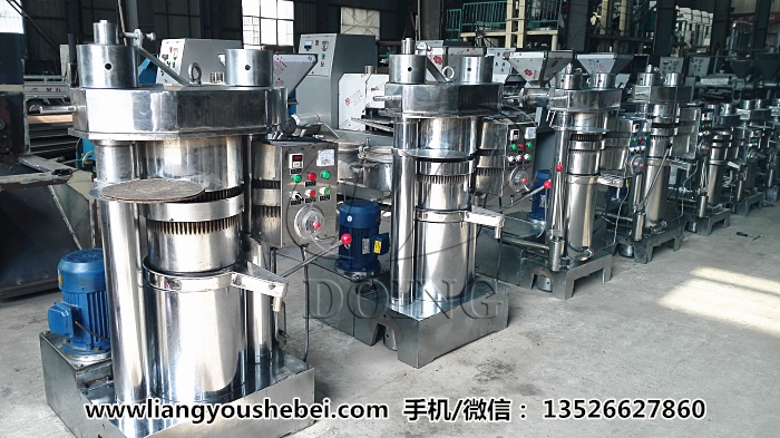 芝麻油榨油機(jī)