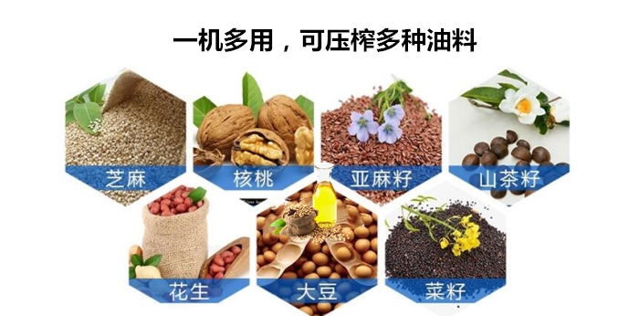 芝麻油榨油機(jī)