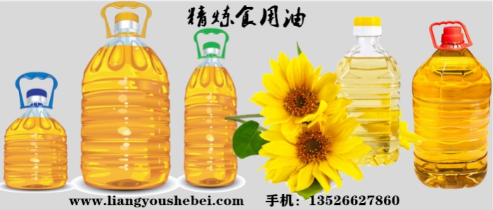 食用油精煉設(shè)備
